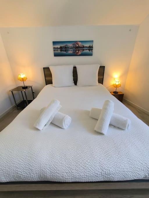 Apartment Appt 4 Pers 30mn Lourdes Vallee D'ossau Coarraze