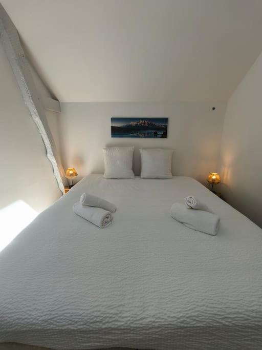 Appt 4 Pers 30mn Lourdes Vallee D'ossau * Coarraze